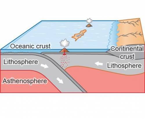 Study the image of a plate boundary. The Asthenosphere is being divided by the Lithosphere on the l