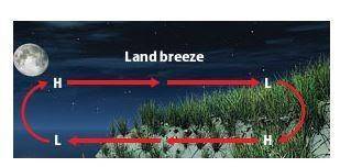 What effect will the breeze represented in this figure have on night time temperatures on land? *