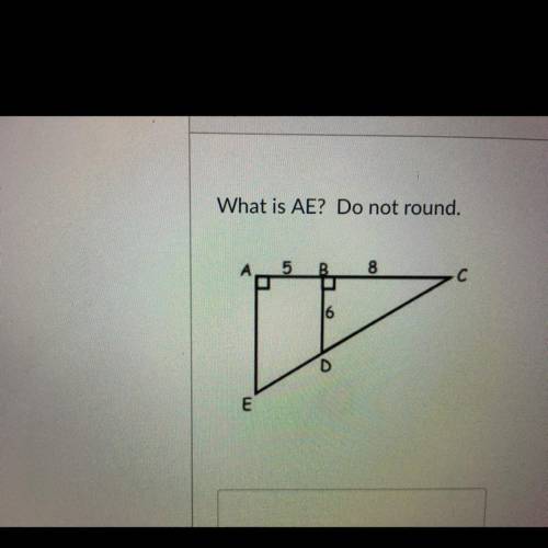 What is AE ? DO NOT ROUND.