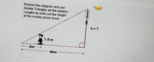 Redraw this diagram and use Similar Triangles on the shadow Lengths to work out the Height of the m