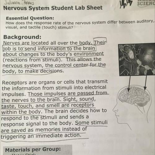 In the lab, you will test the response rate of your nervous system using auditory, visual, and tact