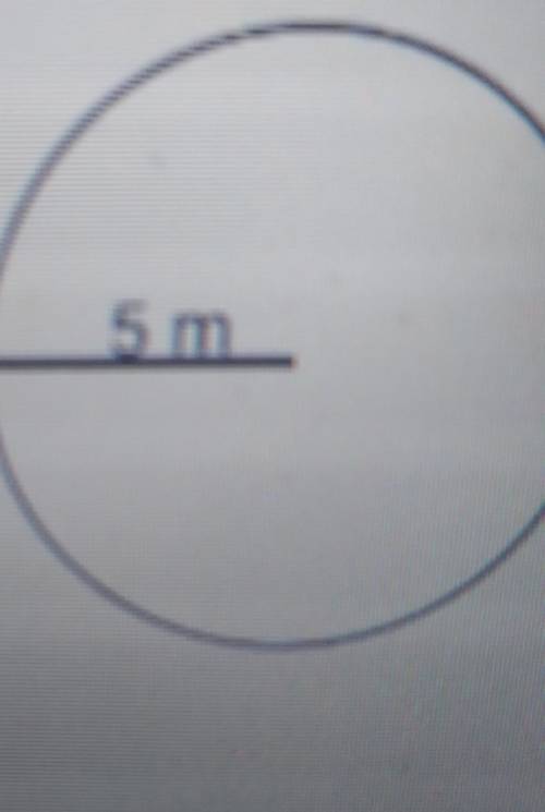 What is the circumference of the circle below
