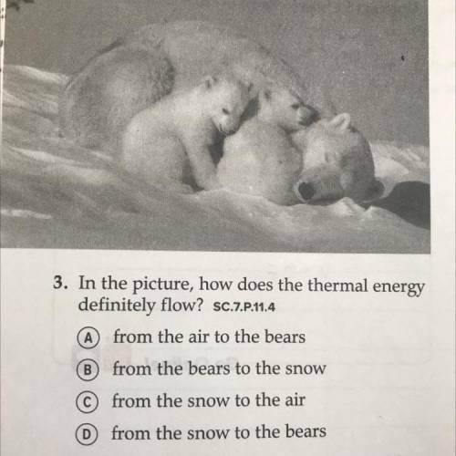 In the picture how does the thermal energy definitely flow?