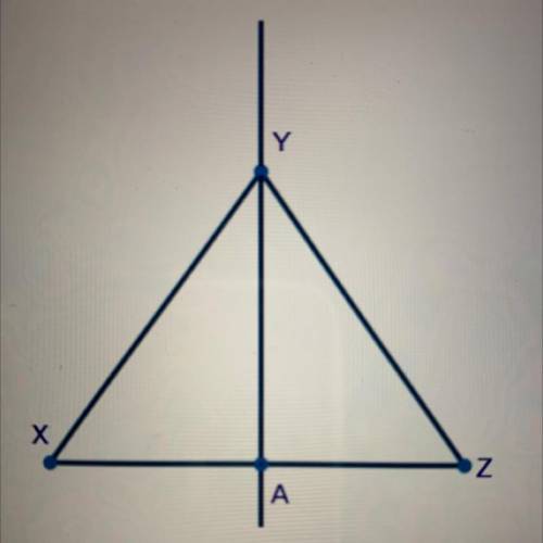 Triangle XYZ is shown below with line AY passing through the center:

If triangle XYZ is dilated b