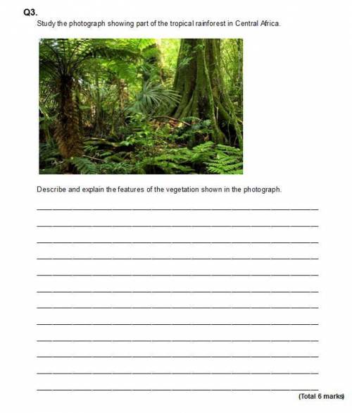 Study the photograph showing part of the tropical rainforest in Central Africa.

Describe and expl