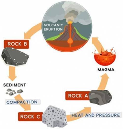 The diagram below shows part of the rock cycle. (4 points)

Rock cycle with a volcanic eruption at
