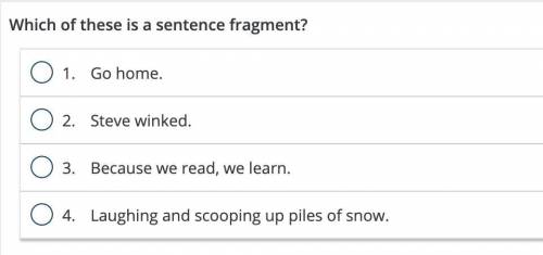 Which sentence is a fragment