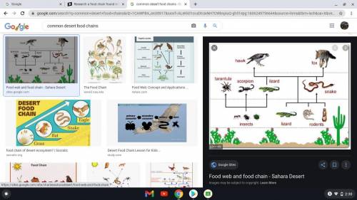 Research a food chain found in the desert and in the arctic and insert a picture of each. Compare th