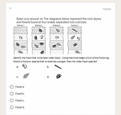 Base your answer on The diagrams below represent the rock layers and fossils found at four widely s