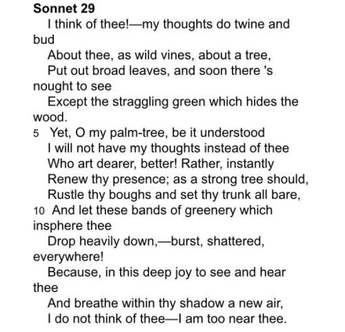Please I need help with this, can anyone help me, it’s for English and the work is on Sonnet 19

T