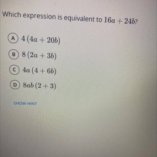 Which expression is equivalent to 16a+24b?