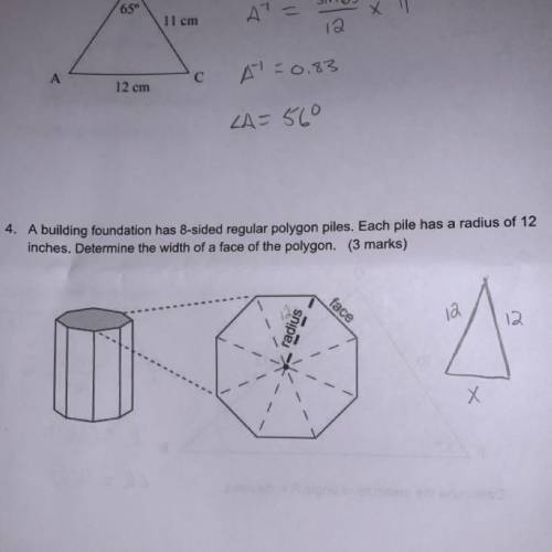 How would I solve this question???
Please help! Due tmr!!