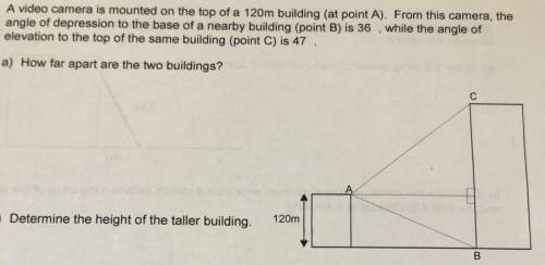 Where is the angle of depression?

Where is the angle of elevation?
How far apart are the two buil