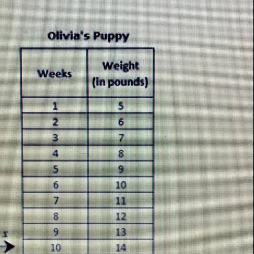 Does the data for oliva's pup show a function? Why or why not