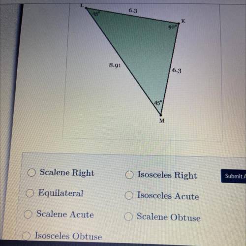 Determine the type of triangle that is drawn below.