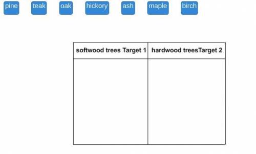 Drag each label to the correct location on the table. Identify the different trees as softwood tree