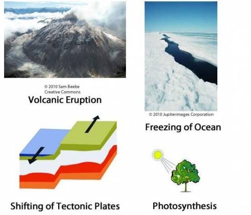 The pictures below show four natural processes.

Which of these are examples of processes which fo