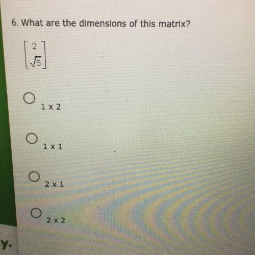 6. What are the dimensions of this matrix?