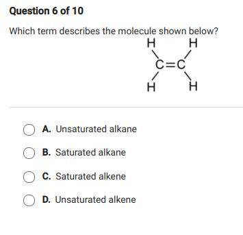 Which term best describes the molecule shown below?