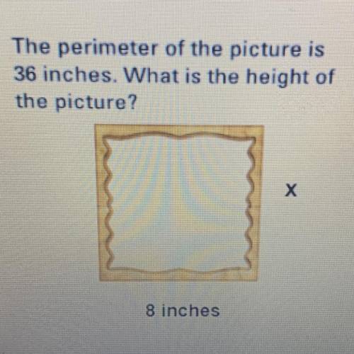 The perimeter of the picture is

36 inches. What is the height of
the picture?
Х
8 inches