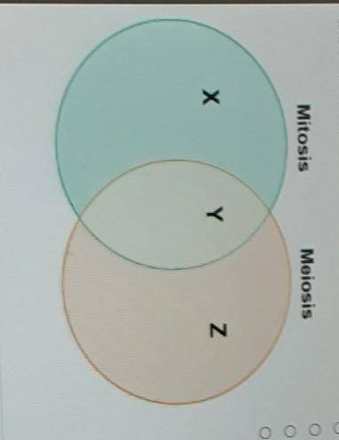 Which label belongs in the region marked Z? Harold makes a Venn diagram to help him compare and con
