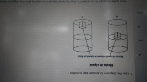 How is the buoyant force related to the displaced liquid in container A in the diagram below?

A.