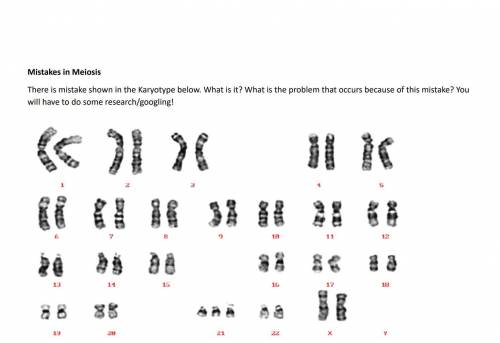 What is the mistake in the karyotype below? What possible problem could it cause