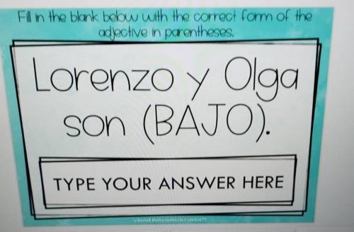 Fill in the blank below with the correct form of the adjective in parentheses. Lorenzo y Olga son (