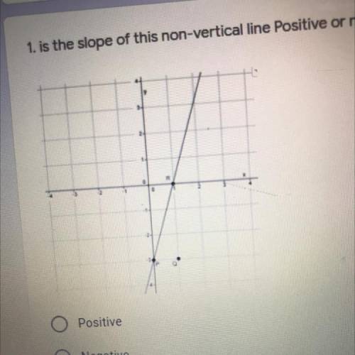 1. is the slope of this non-vertical line Positive or negative?*