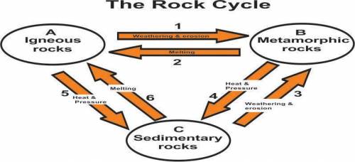 The picture below shows an incorrect diagram of the rock cycle.

How can the flaw in the diagram b