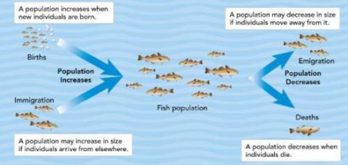 Use models how would you expand this model to include the effects of fishing on this population?