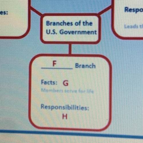 Which of the following could be placed in the area labeled G?

 
O
A. Members of this branch are di