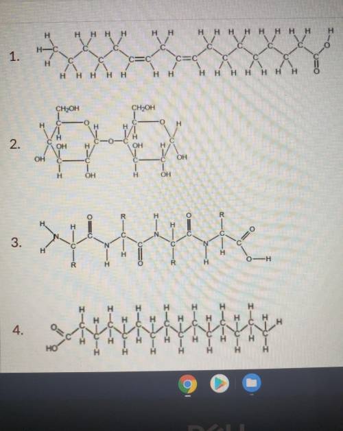 Identify the molecules below. be as specfic as possible.