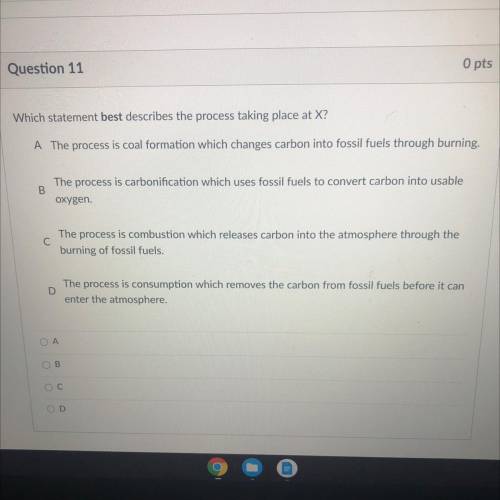Help me with this exam explanations only