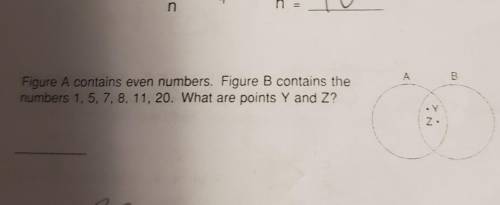 What are points Y and Z?