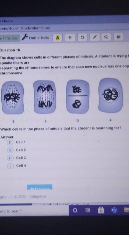 The diagram shows cells in different phases of mitosis. A student is Tying to find a call in a part