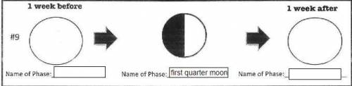 PLS ANSWER CORRECTLY ASAP. What moon phase is 1 WEEK BEFORE first quarter moon? And what moon phase