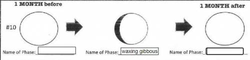 Pls answer CORRECTLY ASAP. What moon phase is 1 MONTH BEFORE waxing gibbous and what moon phase is