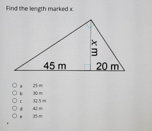 Geometry) PLEASE FIND X
