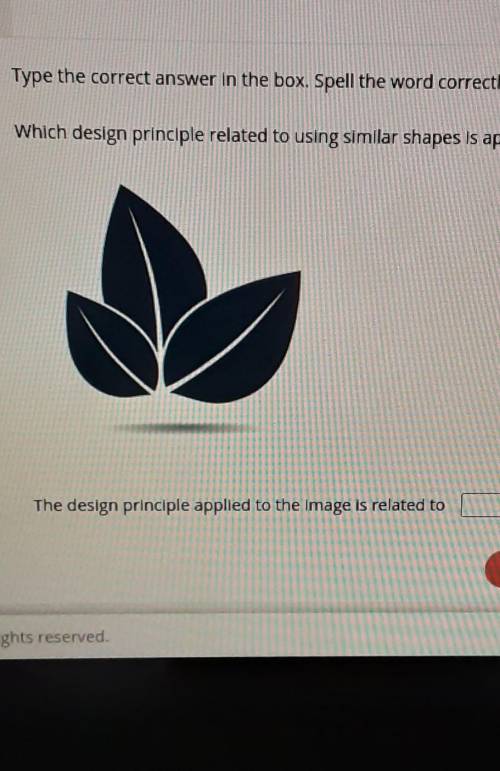 Type the correct answer in the box. Spell the word correctly. Which design principle related to usi
