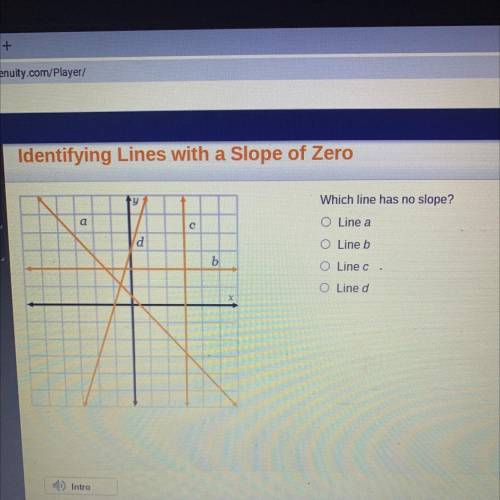 Which line has no slope?
Line a 
Lineb
Line c
Line d