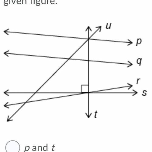 Identify a pair of perpendicular lines in the given figure.

 
Question 1 options:
p and t
q and t