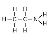 What is the name of this molecule?

a. Ethanal
b. Ethylamine
c. Ethanoic acid
d. Ethanol