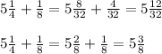 5 \frac{1}{4} + \frac{1}{8} =5 \frac{8}{32} + \frac{4}{32} = 5 \frac{12}{32} \\\\5 \frac{1}{4} + \frac{1}{8} = 5 \frac{2}{8} + \frac{1}{8} = 5\frac{3}{8}