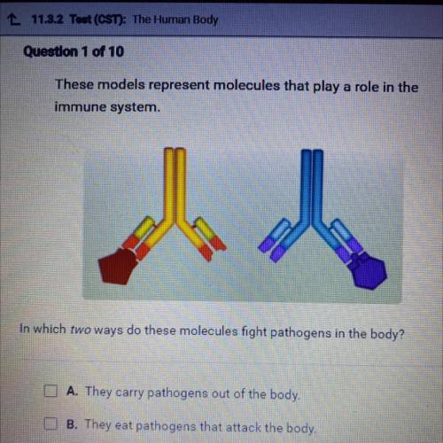 These models represent molecules that play a role in the

immune system
in which two ways do these