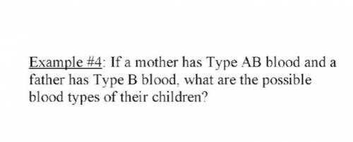 Example #4: If a mother has Type AB blood and a father has Type B blood, what are the possible bloo