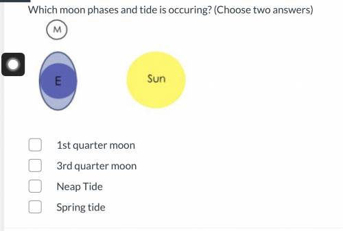 50 PTS

ILL GIVE YOU BRAINLIEST PLEASE ANSWER CORRECTLY AND QUICK
Which moon phases and tide is oc