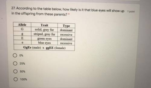 According to the table below, how likely is it that blue eyes will show up in the offspring from th