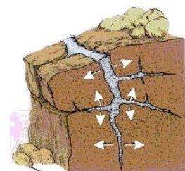 EASY 12 POINTS ❗️❗️

 
Look at the drawing. What would MOST LIKELY cause the rock to break apart?
A