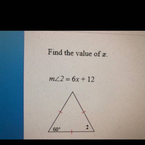 Find the value of x plz